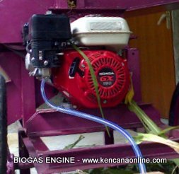 Biogas Skala Industri (11)